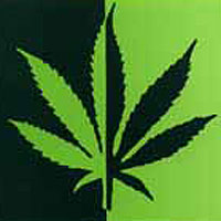 marihuana-1-