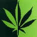 marihuana-1-